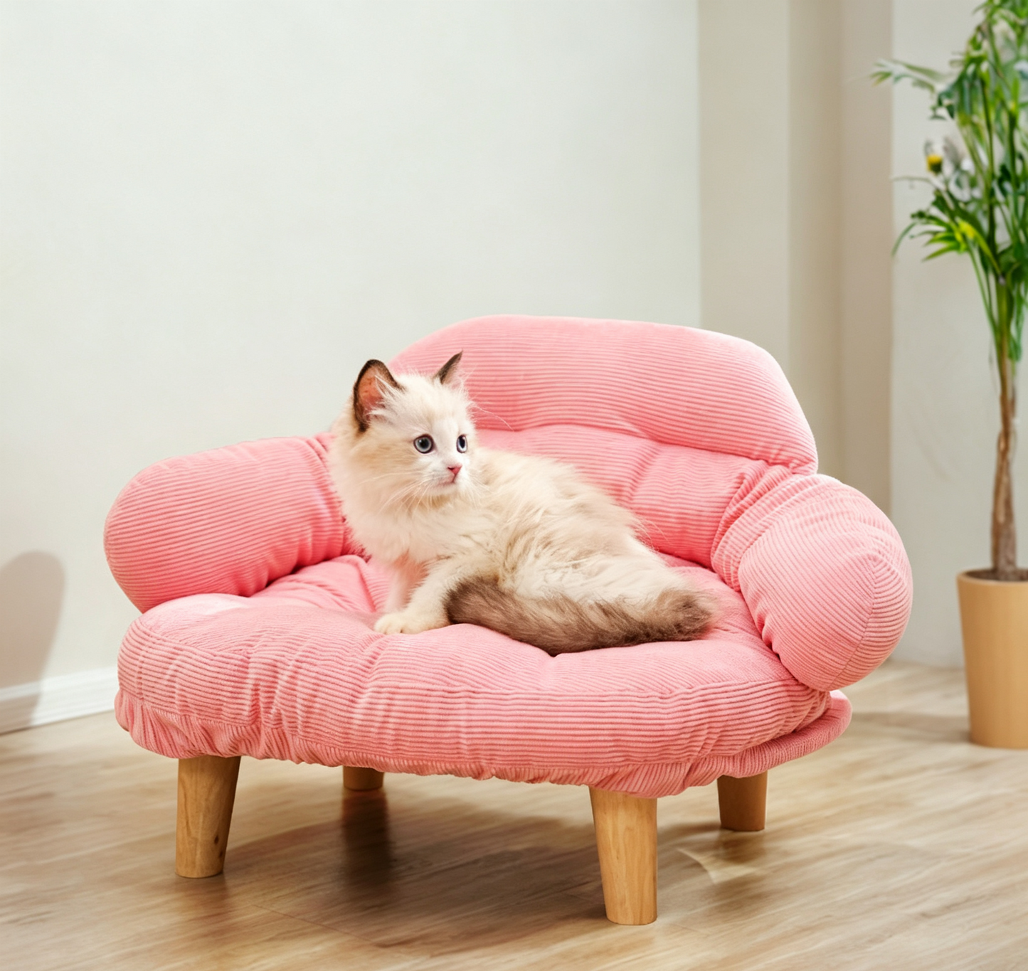 Plush Pet Sofa Bed for Cats & Small Dogs, Elevated Mini Couch with Wooden Legs